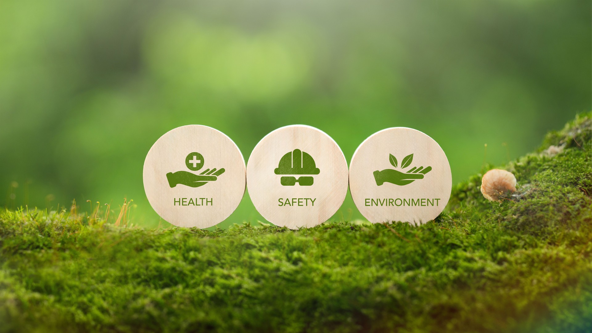 HSE Health, Safety, Environment Concepts that focus on accident prevention, environmental protection, health and safety for businesses and organizations. HSE Health, Safety, Environment Concepts that focus on accident prevention, environmental protection, health and safety for businesses and organizations.